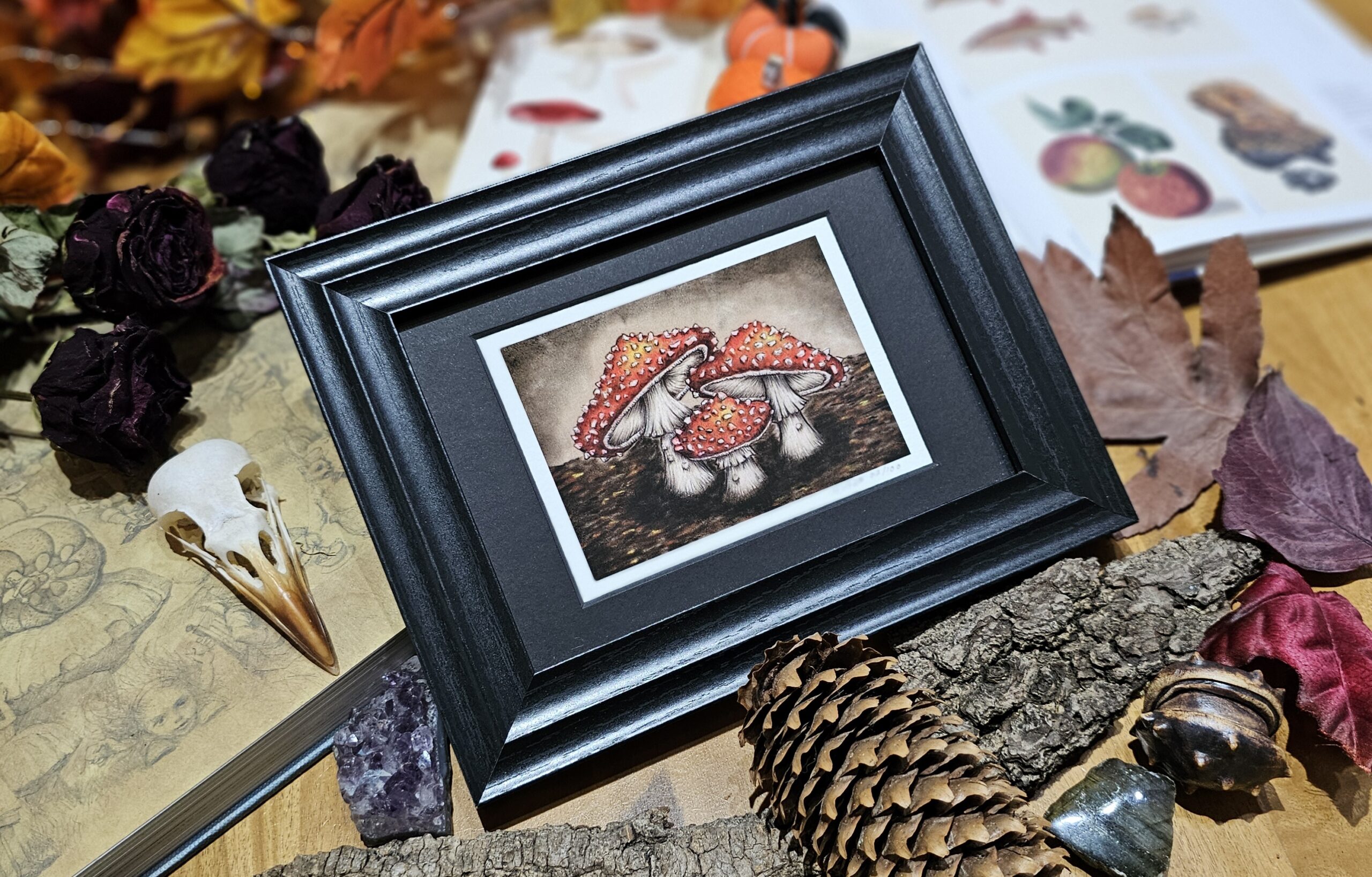 The Toadstool Collection - A celebration of Autumn