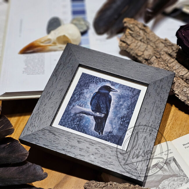 Cool Pastel Crow Limited Edition Giclee Print set in a Contemporary Black Frame by Liisa Clark