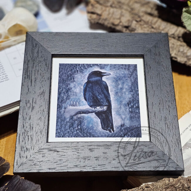 Cool Pastel Crow Limited Edition Giclee Print set in a Contemporary Black Frame by Liisa Clark