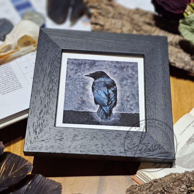 Cool Pastel Crow Limited Edition Giclee Print set in a Contemporary Black Frame by Liisa Clark
