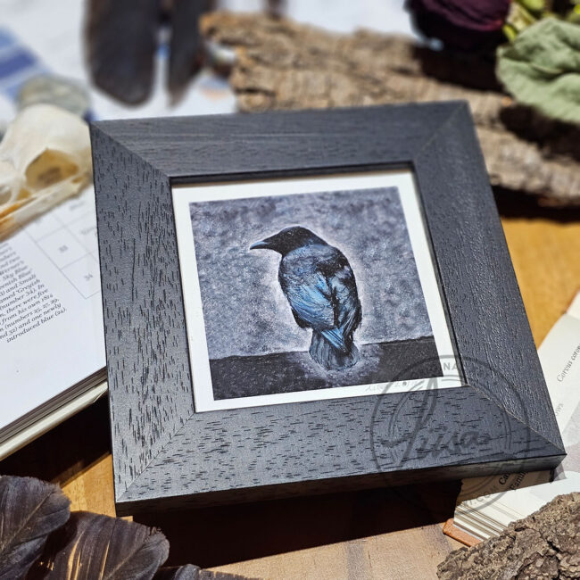Cool Pastel Crow Limited Edition Giclee Print set in a Contemporary Black Frame by Liisa Clark