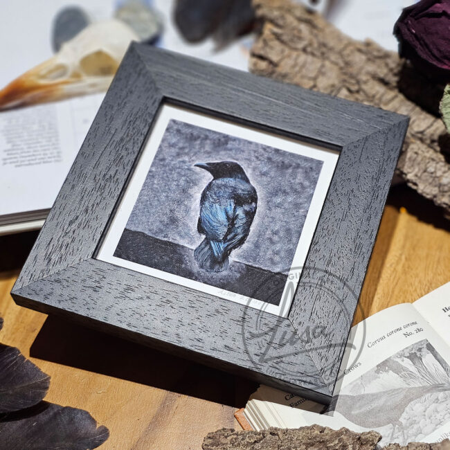 Cool Pastel Crow Limited Edition Giclee Print set in a Contemporary Black Frame by Liisa Clark