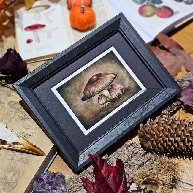 Limited Edition Giclee Art Print of A Family of Toadstools Originally created On Velour Pastel Paper Set in a Black Contemporary Frame by Liisa Clark