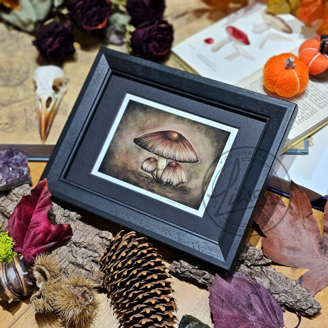 Limited Edition Giclee Art Print of A Family of Toadstools Originally created On Velour Pastel Paper Set in a Black Contemporary Frame by Liisa Clark
