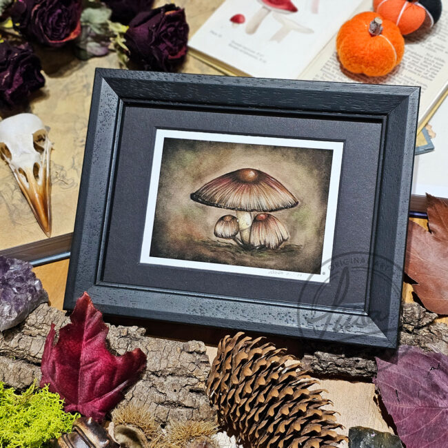 Limited Edition Giclee Art Print of A Family of Toadstools Originally created On Velour Pastel Paper Set in a Black Contemporary Frame by Liisa Clark