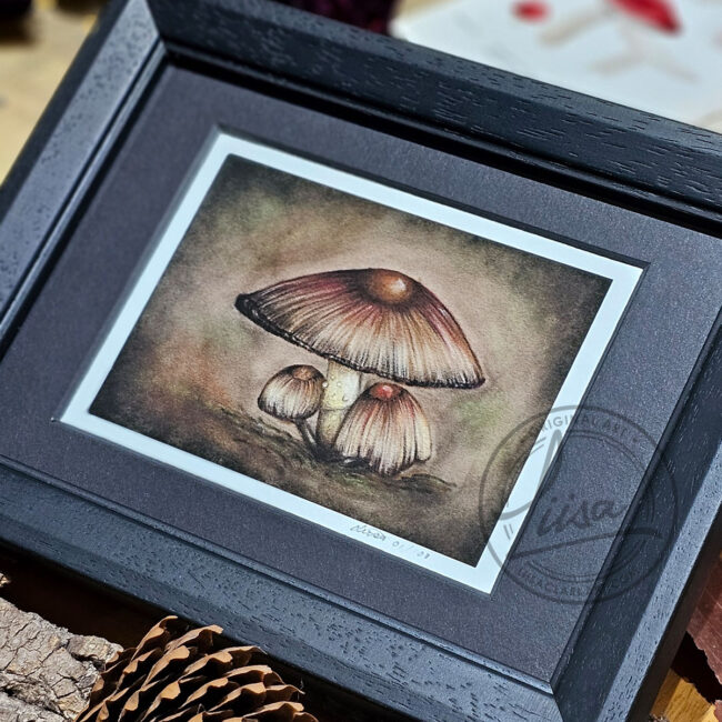 Limited Edition Giclee Art Print of A Family of Toadstools Originally created On Velour Pastel Paper Set in a Black Contemporary Frame by Liisa Clark