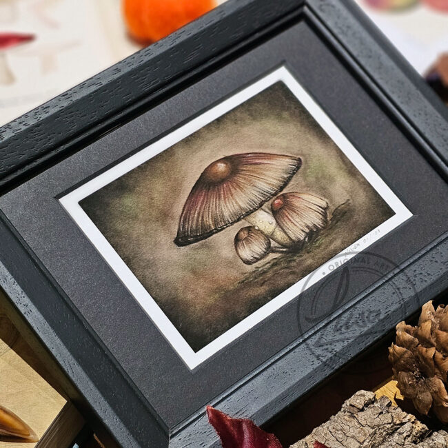Limited Edition Giclee Art Print of A Family of Toadstools Originally created On Velour Pastel Paper Set in a Black Contemporary Frame by Liisa Clark