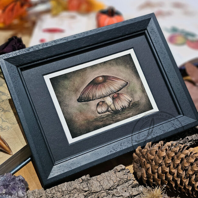 Limited Edition Giclee Art Print of A Family of Toadstools Originally created On Velour Pastel Paper Set in a Black Contemporary Frame by Liisa Clark