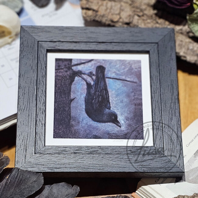 A Limited Edition Giclee Fine Art print Featuring A Crow hanging upside down Set in a black Frame by Liisa Clark