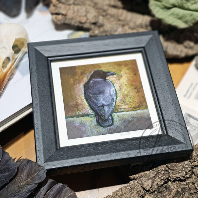 Warm Pastel Raven Limited Edition Giclee Print set in a Contemporary Black Frame by Liisa Clark