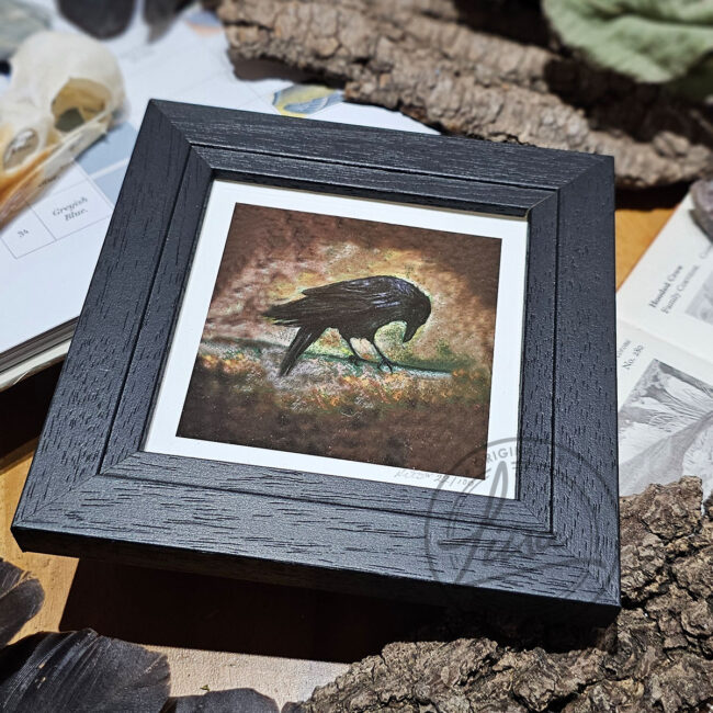 Warm Pastel Crow Limited Edition Giclee Print set in a Contemporary Black Frame by Liisa Clark