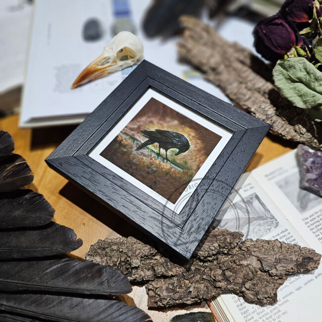 Warm Pastel Raven Limited Edition Giclee Print set in a Contemporary Black Frame by Liisa Clark
