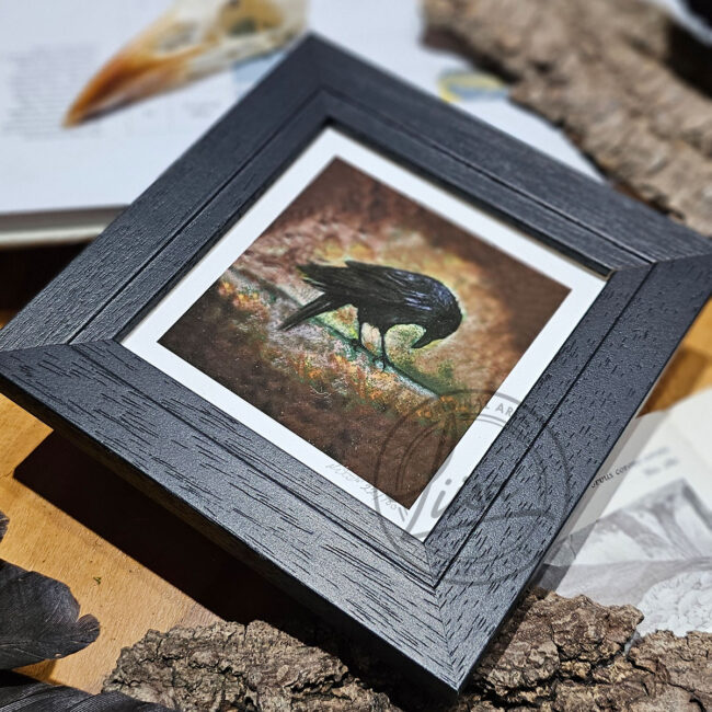Warm Pastel Crow Limited Edition Giclee Print set in a Contemporary Black Frame by Liisa Clark