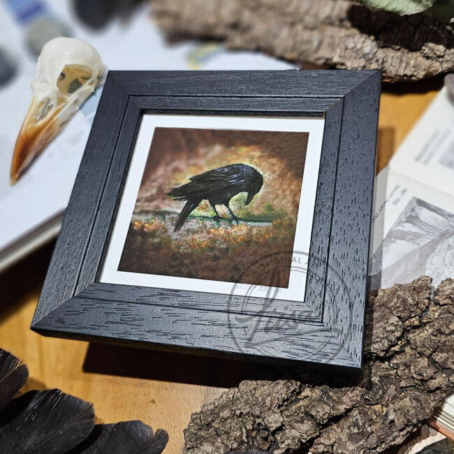 Warm Pastel Crow Limited Edition Giclee Print set in a Contemporary Black Frame by Liisa Clark