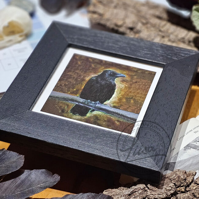 Warm Pastel Crow Limited Edition Giclee Print set in a Contemporary Black Frame by Liisa Clark