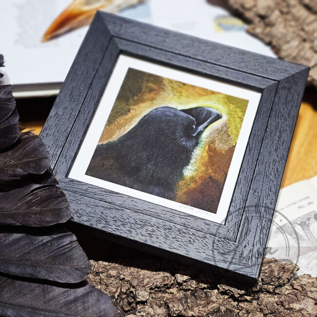 Warm Pastel Crow Limited Edition Giclee Print set in a Contemporary Black Frame by Liisa Clark
