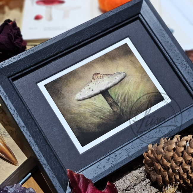 Limited Edition Giclee Art Print of a Parasol Toadstool Originally created On Velour Pastel Paper Set in a Black Contemporary Frame by Liisa Clark