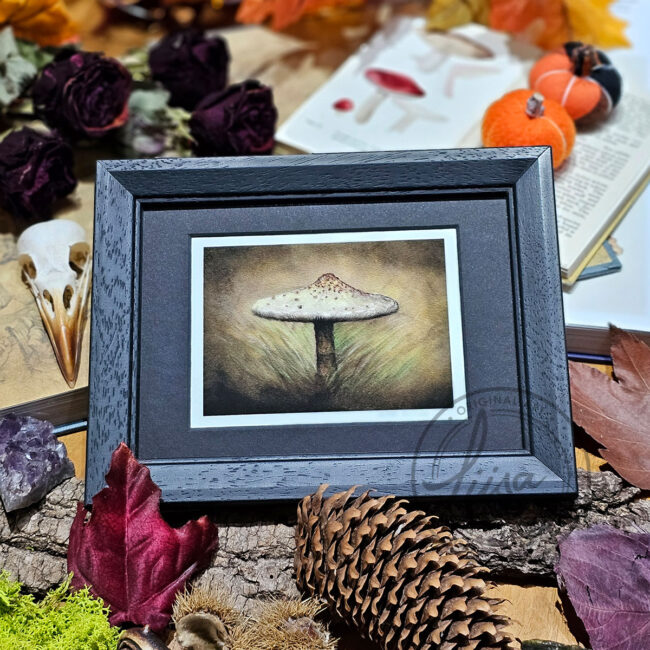 Limited Edition Giclee Art Print of a Parasol Toadstool Originally created On Velour Pastel Paper Set in a Black Contemporary Frame by Liisa Clark