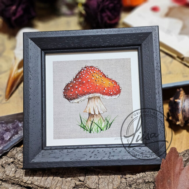 Limited Edition Giclee Art Print of a Fly Agaric Toadstool Painted on a Linen Panel Set in a Black Contemporary Frame by Liisa Clark