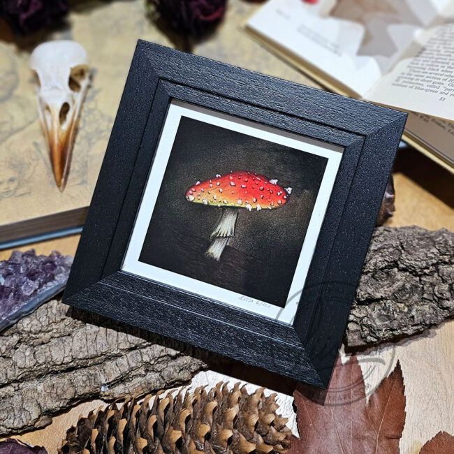 Giclee Art Print of a Single Red Umbrella Toadstool Set in a Contemporary Black Frame by Liisa Clark
