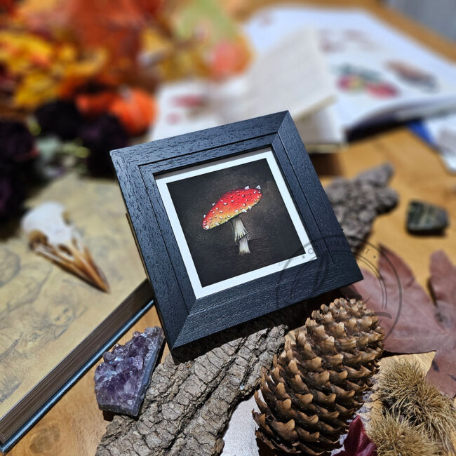 Giclee Art Print of a Single Red Umbrella Toadstool Set in a Contemporary Black Frame by Liisa Clark