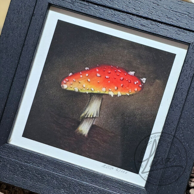Giclee Art Print of a Single Red Umbrella Toadstool Set in a Contemporary Black Frame by Liisa Clark