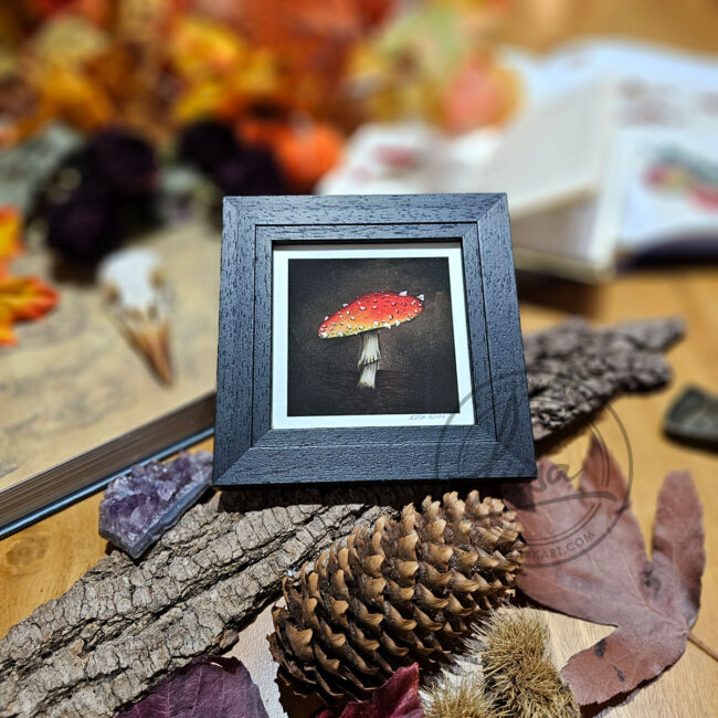 Giclee Art Print of a Single Red Umbrella Toadstool Set in a Contemporary Black Frame by Liisa Clark
