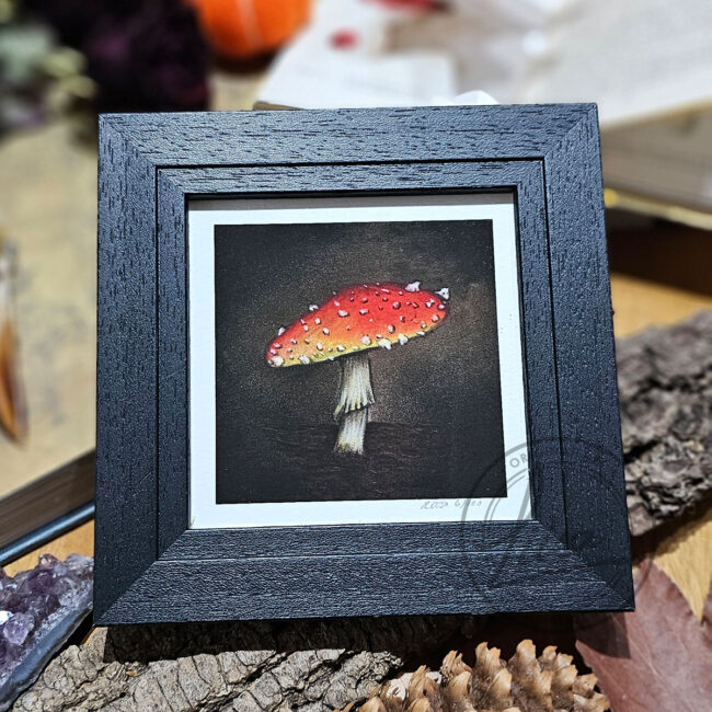 Giclee Art Print of a Single Red Umbrella Toadstool Set in a Contemporary Black Frame by Liisa Clark