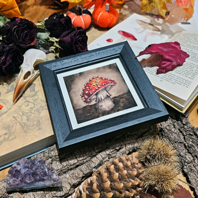 Limited Edition Giclee Art Print of a Fly Agaric Toadstool On Velour Pastel Paper Set in a Black Contemporary Frame by Liisa Clark