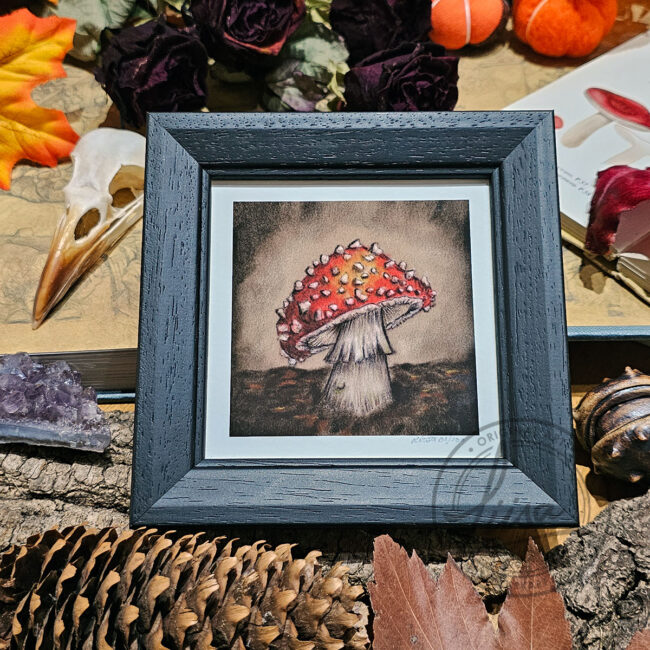 Limited Edition Giclee Art Print of a Fly Agaric Toadstool On Velour Pastel Paper Set in a Black Contemporary Frame by Liisa Clark