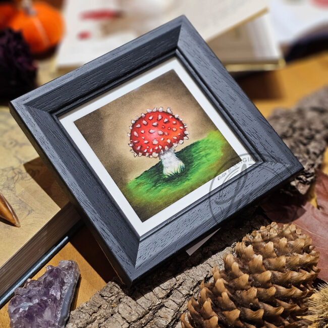 Limited Edition Giclee Print of a Cute little Red Toadstool in a Contemporary Black Frame by Liisa Clark