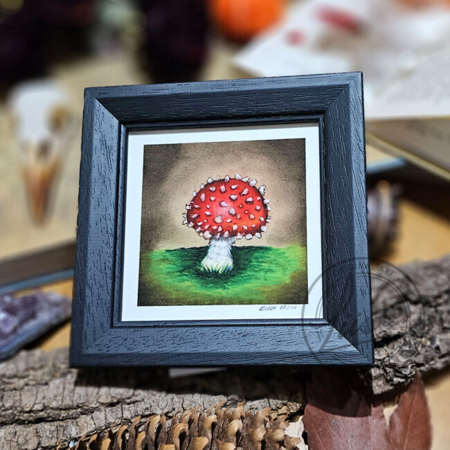 Limited Edition Giclee Print of a Cute little Red Toadstool in a Contemporary Black Frame by Liisa Clark