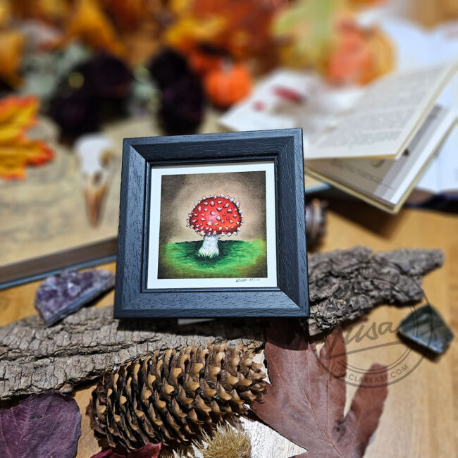 Limited Edition Giclee Print of a Cute little Red Toadstool in a Contemporary Black Frame by Liisa Clark