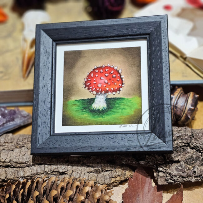 Limited Edition Giclee Print of a Cute little Red Toadstool in a Contemporary Black Frame by Liisa Clark