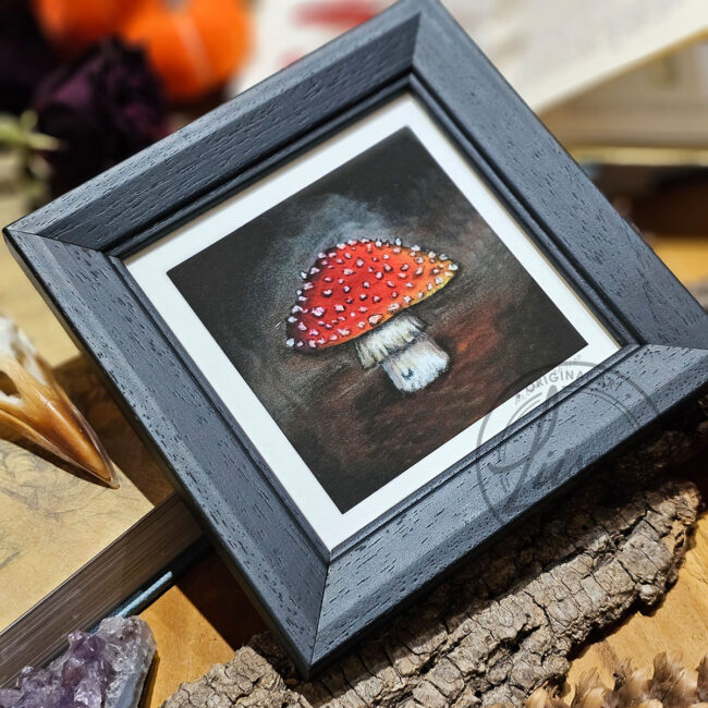 Limited Edition Giclee Print of a Little Red Toadstool in a Contemporary Black Frame by Liisa Clark