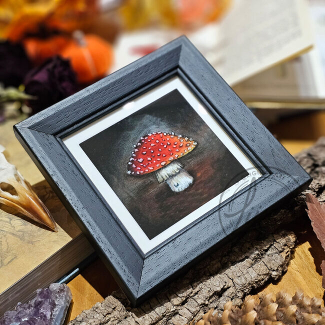 Limited Edition Giclee Print of a Little Red Toadstool in a Contemporary Black Frame by Liisa Clark