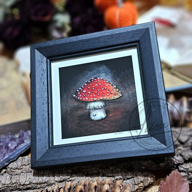Limited Edition Giclee Print of a Little Red Toadstool in a Contemporary Black Frame by Liisa Clark