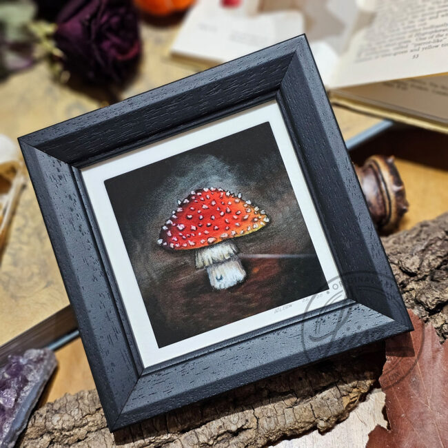 Limited Edition Giclee Print of a Little Red Toadstool in a Contemporary Black Frame by Liisa Clark