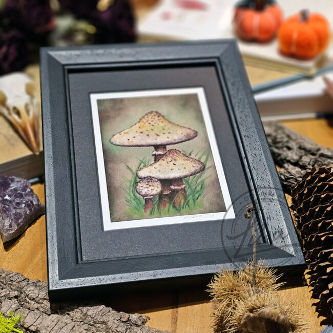 Limited Edition Giclee Art Print of a Family of Parasol Toadstools Originally created On Velour Pastel Paper Set in a Black Contemporary Frame by Liisa Clark