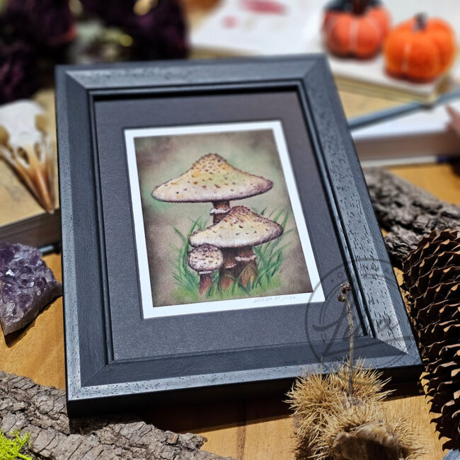 Limited Edition Giclee Art Print of a Family of Parasol Toadstools Originally created On Velour Pastel Paper Set in a Black Contemporary Frame by Liisa Clark