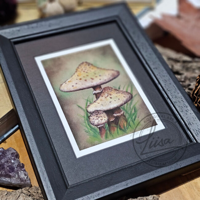 Limited Edition Giclee Art Print of a Family of Parasol Toadstools Originally created On Velour Pastel Paper Set in a Black Contemporary Frame by Liisa Clark