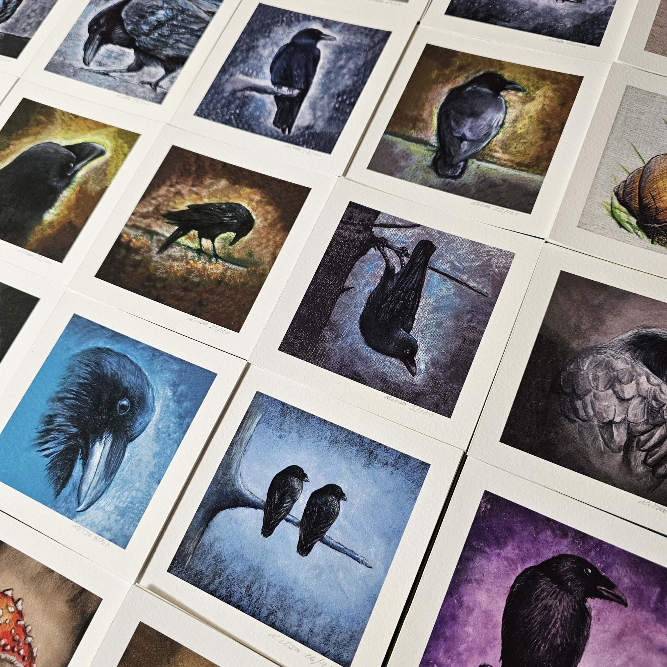 Fine Art Prints