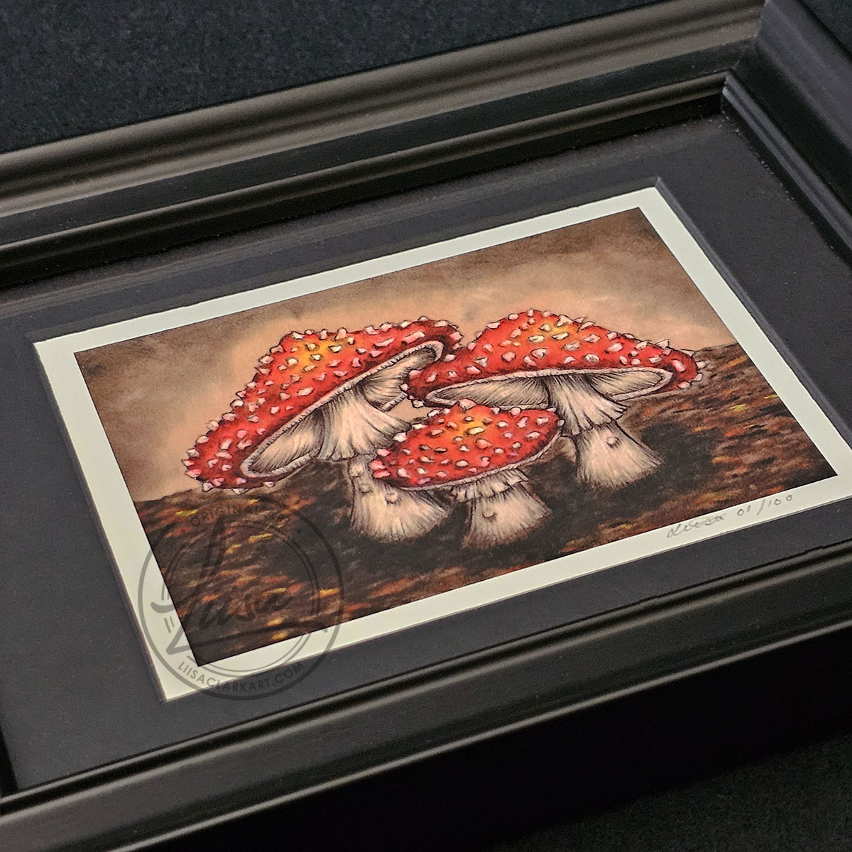 Limited Edition Giclee Art Print of a Family of Fly Agaric Toadstools On Velour Pastel Paper Set in a Black Contemporary Frame by Liisa Clark