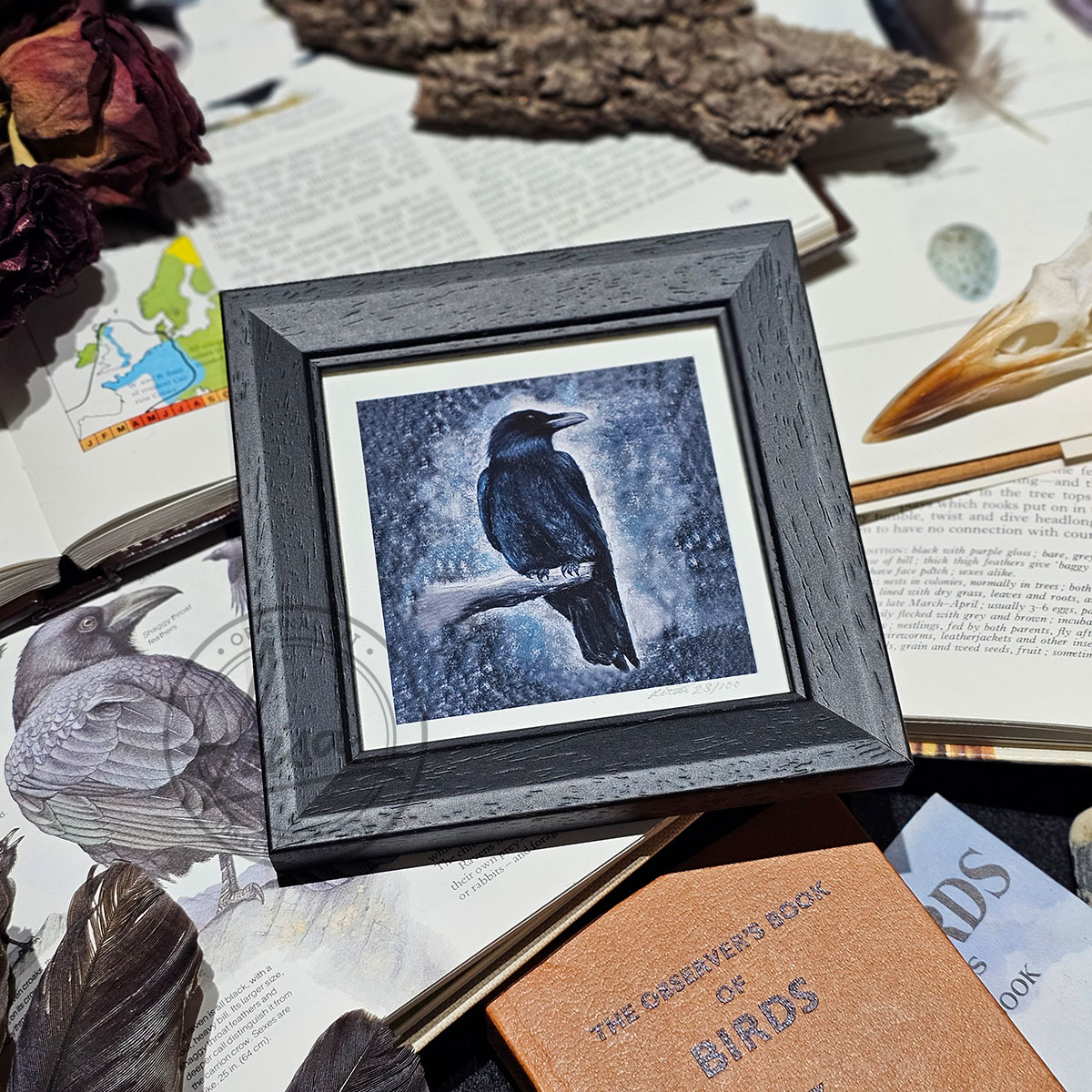 Cool Pastel Crow Limited Edition Giclee Print set in a Contemporary Black Frame by Liisa Clark