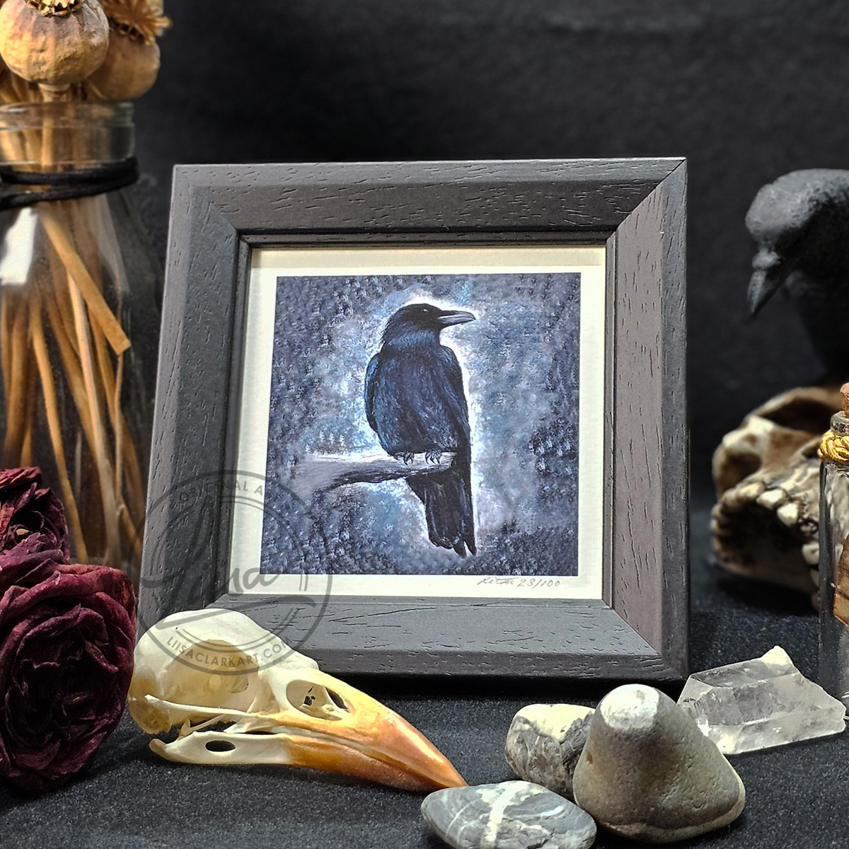 Cool Pastel Crow Limited Edition Giclee Print set in a Contemporary Black Frame by Liisa Clark
