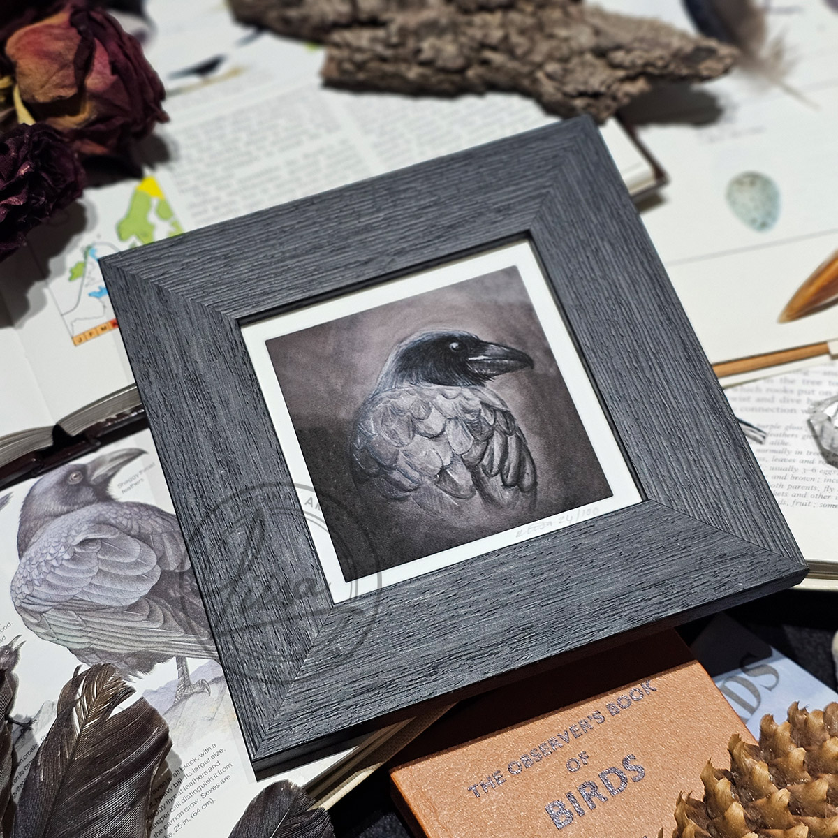 Portrait Of a Raven in Muted Grey Tones in Pastels by Liisa Clark Fine Art Print Set in a Contemporary Black Frame by Liisa Clark