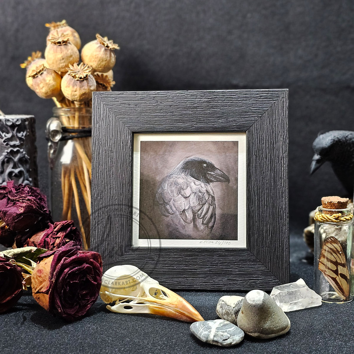 Portrait Of a Raven in Muted Grey Tones in Pastels by Liisa Clark Fine Art Print Set in a Contemporary Black Frame by Liisa Clark