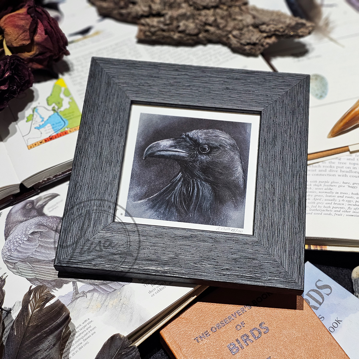 Raven Portrait in Muted Grey Tones in Pastels by Liisa Clark Fine Art Print Set in a Contemporary Black Frame