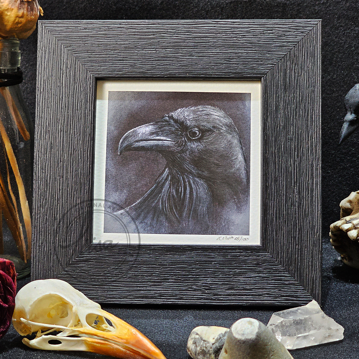 Raven Portrait in Muted Grey Tones in Pastels by Liisa Clark Fine Art Print Set in a Contemporary Black Frame