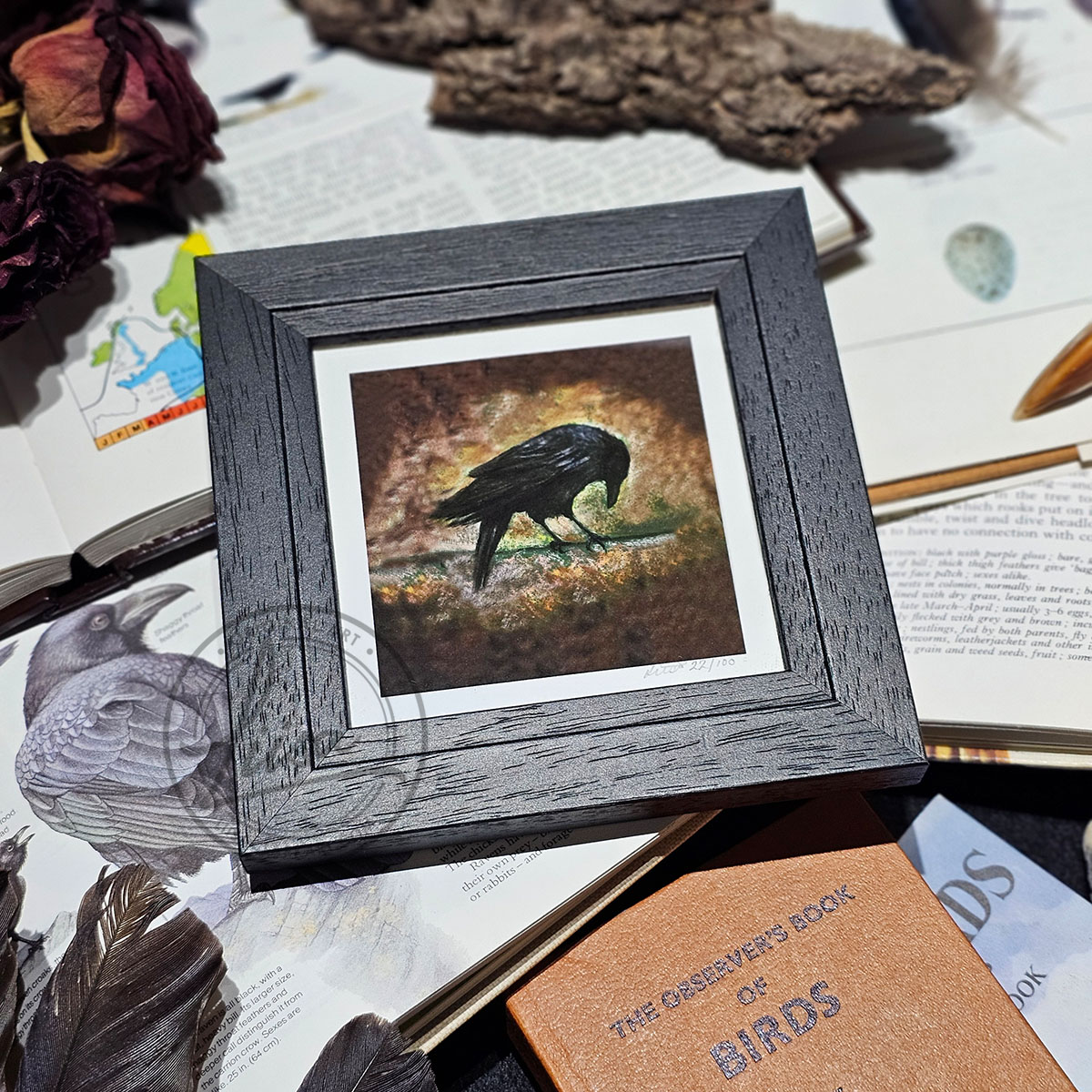 Warm Pastel Crow Limited Edition Giclee Print set in a Contemporary Black Frame by Liisa Clark